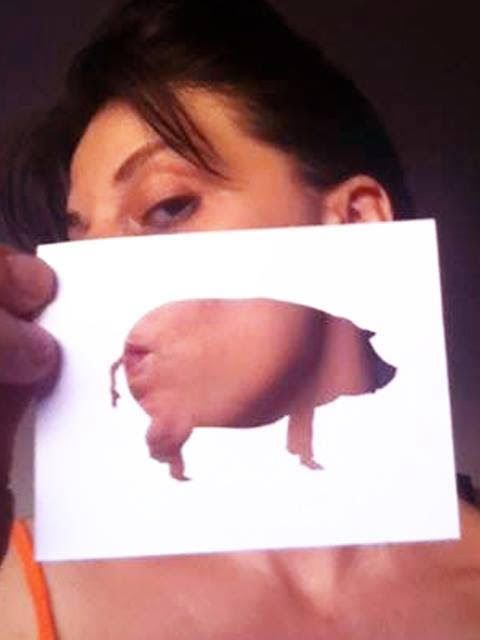 The Fantastic Bestiary Artwork Cutouts