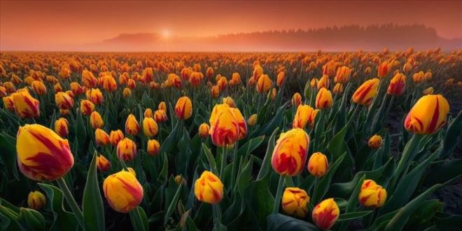 EPSON International Pano Photography Awards Finalists
