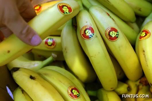 Amazing Pictures of the Day