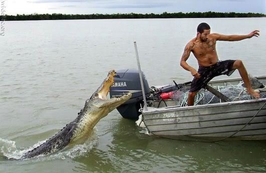 Lets Catch that Moment