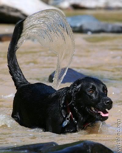 Lets Catch that Moment