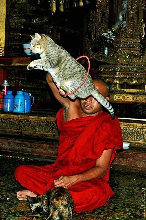 Lets Catch that Moment