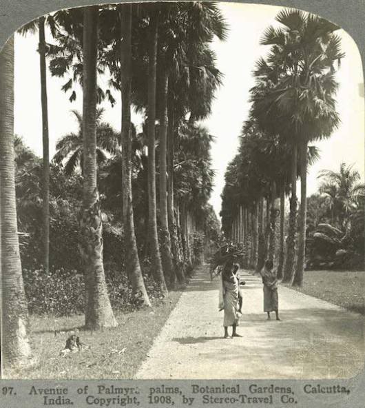 The Incredible India: 100 Years Back (Rare Pictures)