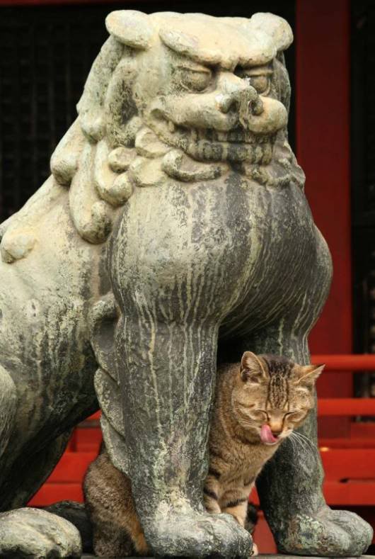 Some Mix UnCaptioned Pictures