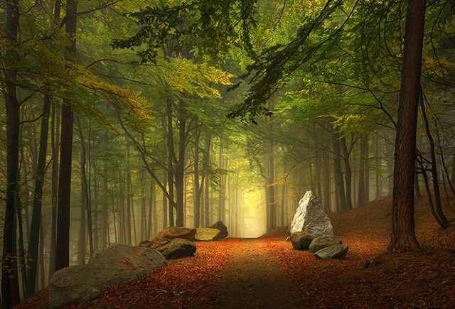 These Paths Are Just Too Beautiful To Walk On