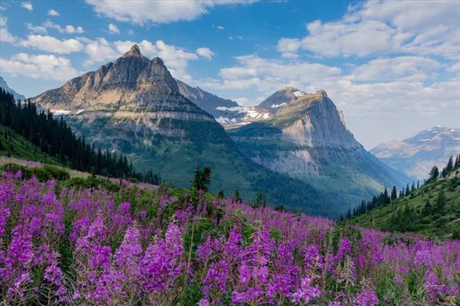 17 Marvellous Nature Pictures That Look Like Paintings