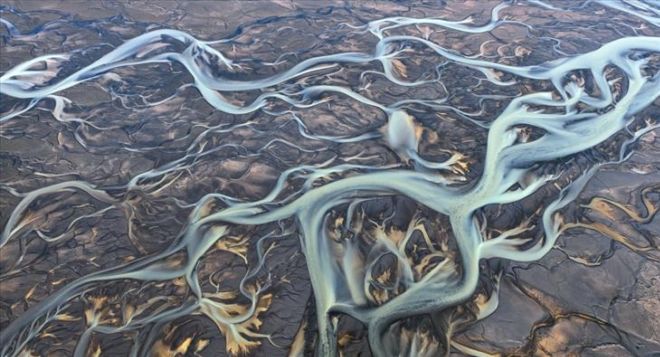 17 Marvellous Nature Pictures That Look Like Paintings