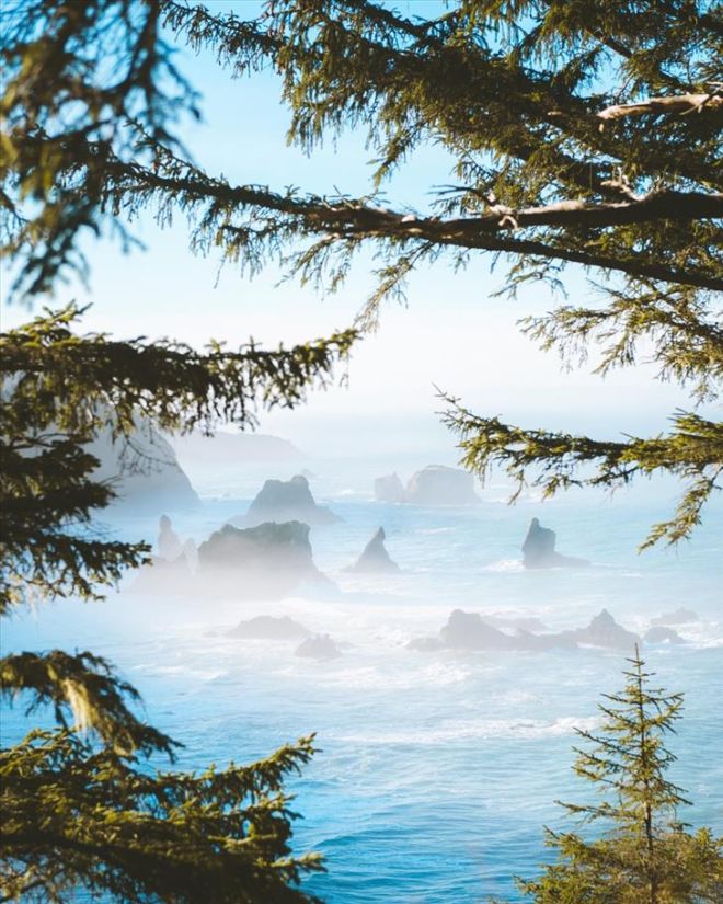 17 Marvellous Nature Pictures That Look Like Paintings