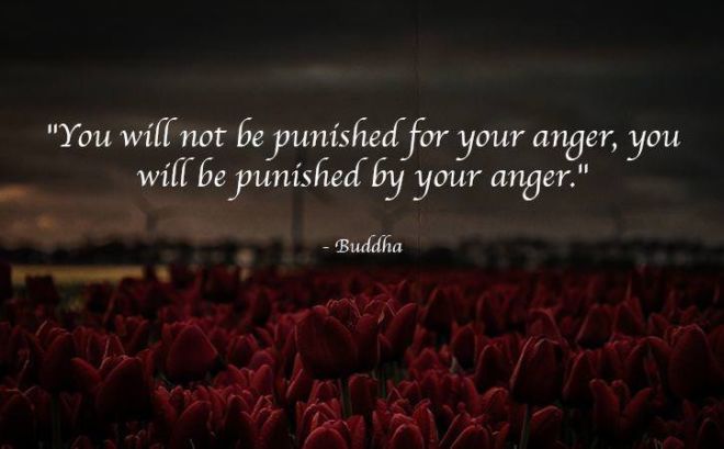 11 Buddhism Quotes That'll Make You See Life In A New Way