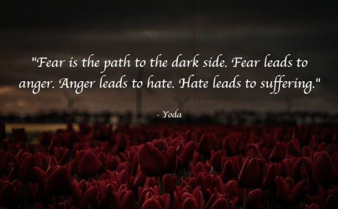 11 Buddhism Quotes That'll Make You See Life In A New Way