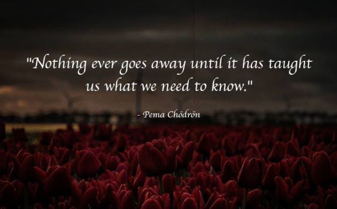 11 Buddhism Quotes That'll Make You See Life In A New Way