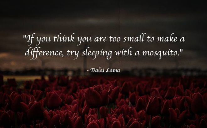 11 Buddhism Quotes That'll Make You See Life In A New Way