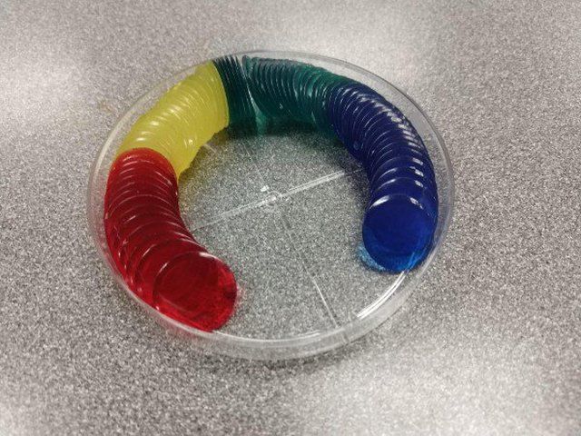 Photos That Gives You Great Satisfaction