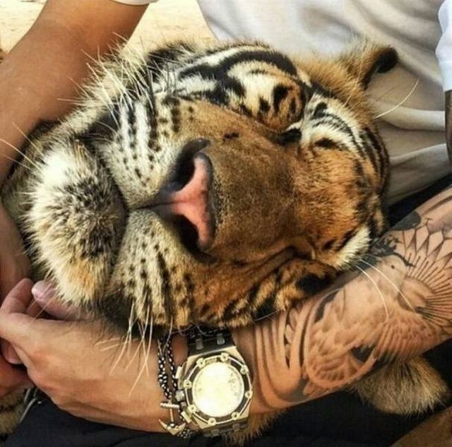 20 Incredible Photos That Speak A Thousand Words