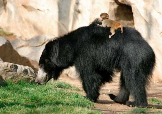 20 Incredible Photos That Speak A Thousand Words