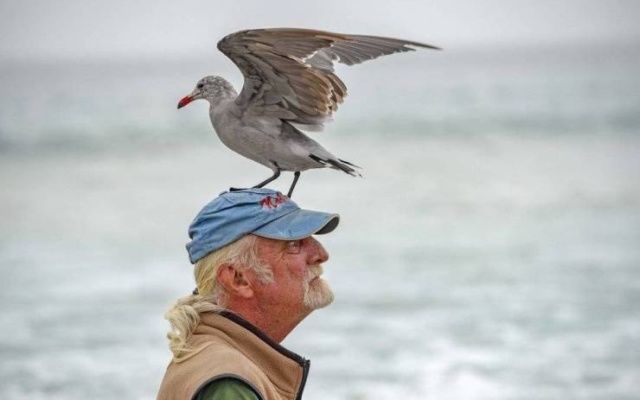 20 Incredible Photos That Speak A Thousand Words