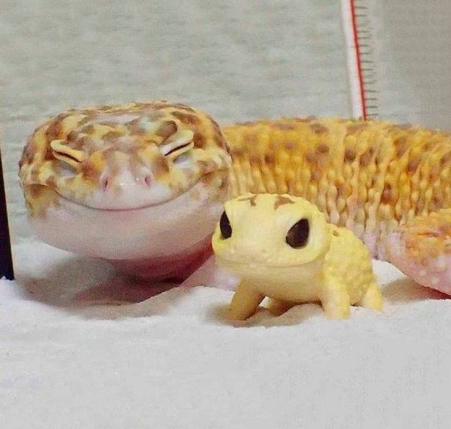 20 Incredible Photos That Speak A Thousand Words