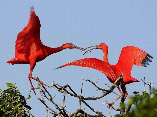 Life Has Its Own Beauty And Lively Colors