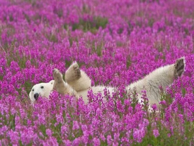 Life Has Its Own Beauty And Lively Colors