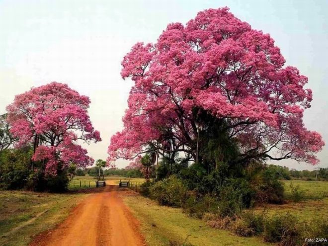 Life Has Its Own Beauty And Lively Colors