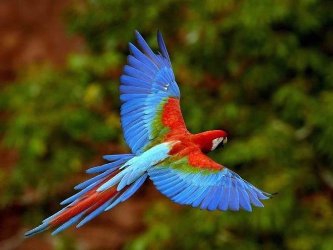 Life Has Its Own Beauty And Lively Colors