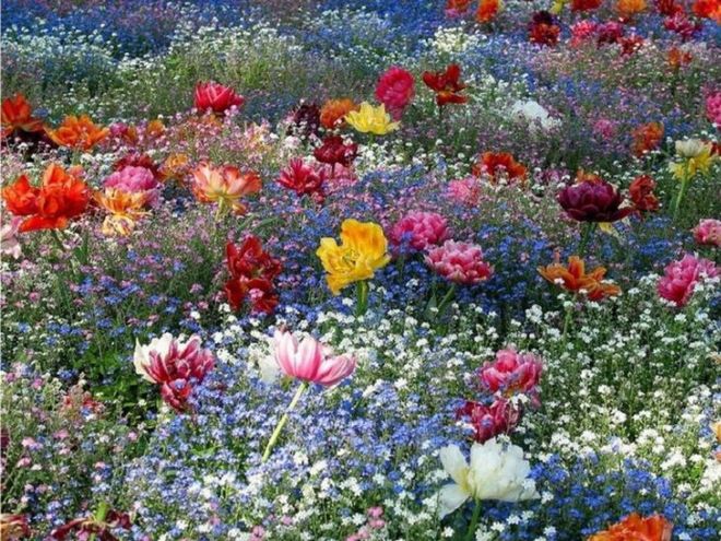 Life Has Its Own Beauty And Lively Colors