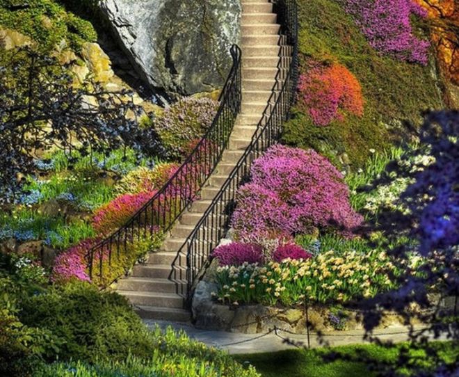 Life Has Its Own Beauty And Lively Colors