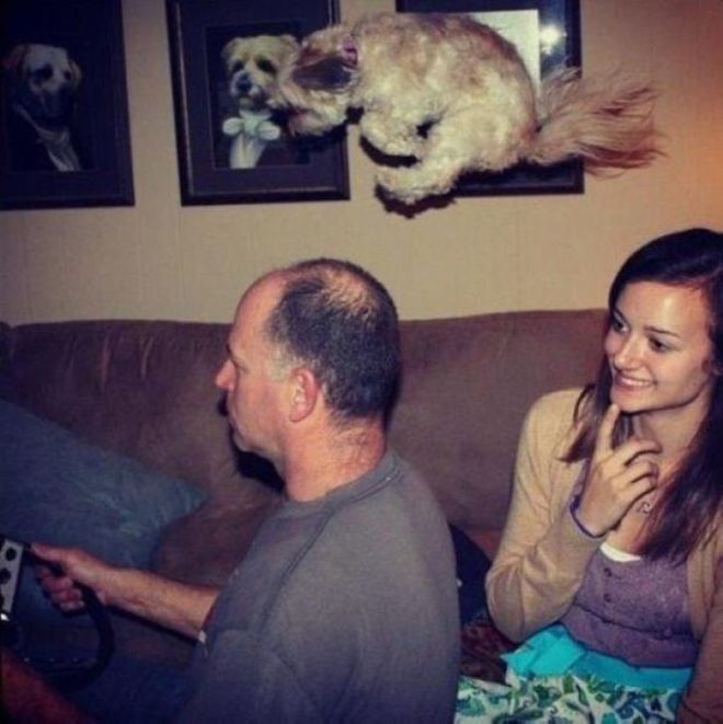 18 Photos That Were Clicked At The Right Time