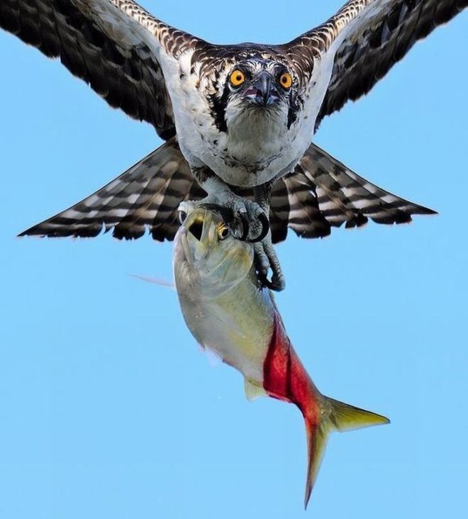 18 Photos That Were Clicked At The Right Time