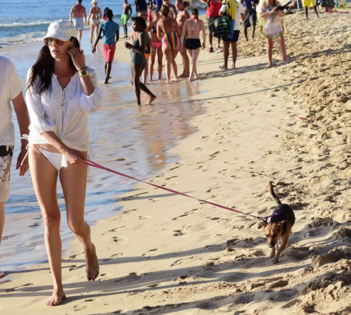 Lauren Silverman Walking Her Dog At A Beach In Barbados